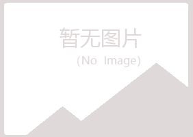 永登县寻双服务有限公司